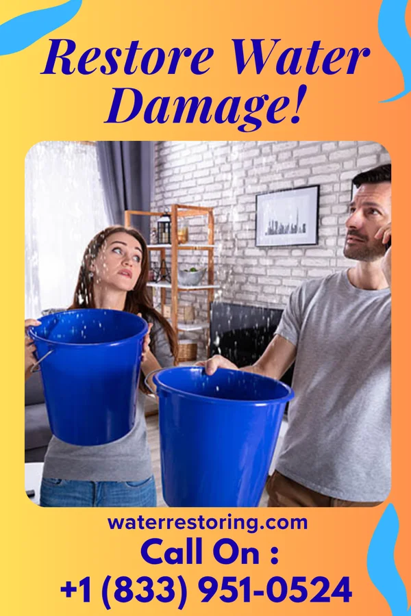 water restoration Prestige Water Repair Co Brocton