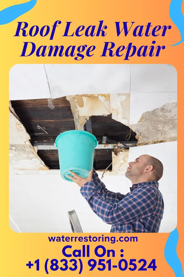 Roof Leak Water Damage Repair in Brocton, NY