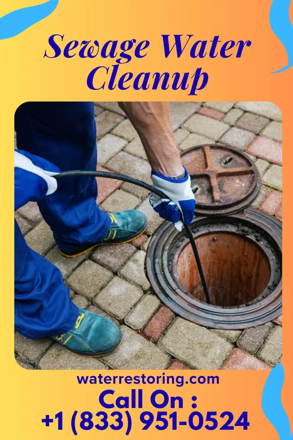 Sewage Water Cleanup in Brocton, NY
