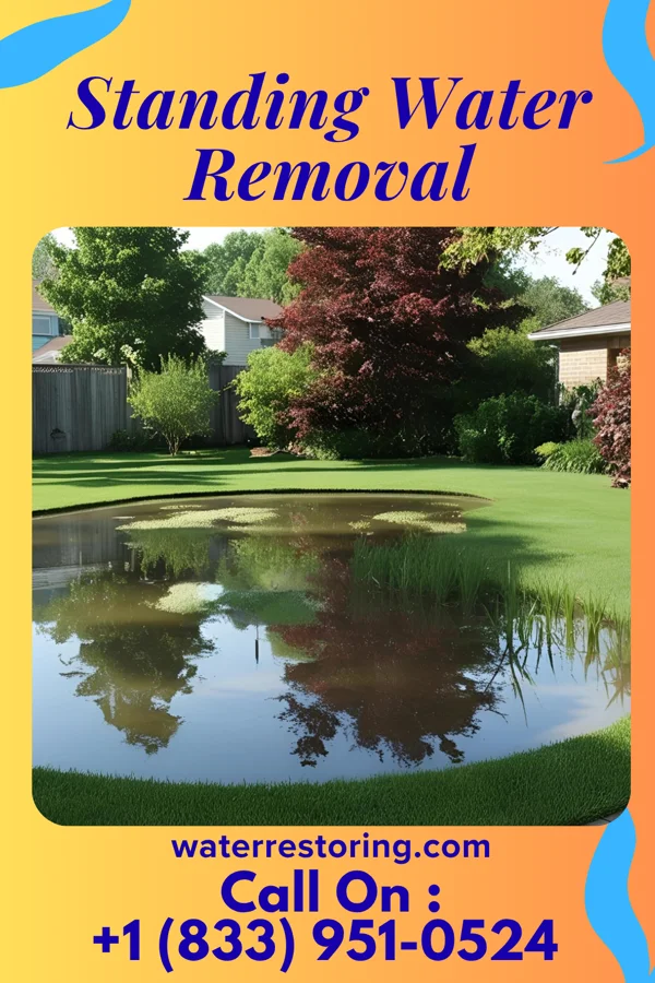 Standing Water Removal in Brocton, NY